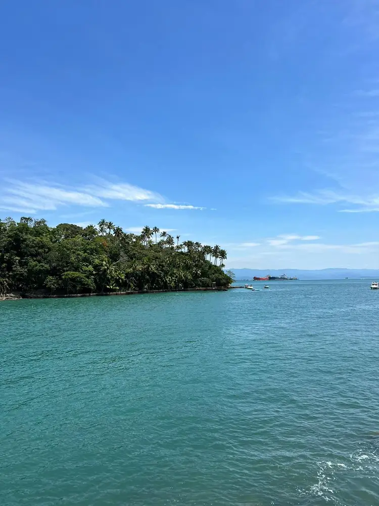 Ponta de mata sobre o mar turquesa