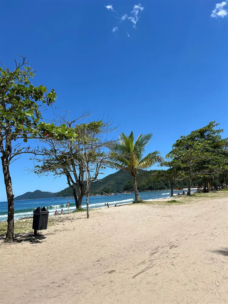 Praia de Castelhanos com coqueiros